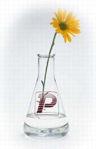 ULTRA-PURE MINERAL OIL W/HIGH NAPHTHENIC CONTENT-Image