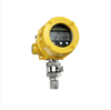 One Series Electronic Switch and Transmitter-Image