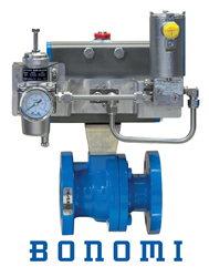 API 608 Flanged Ball Valves -Image
