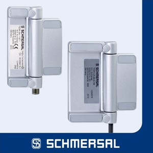 Compact Hinged Safety Switch-Image