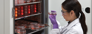 e-Book: Considerations Purchasing CO2 Incubators -Image