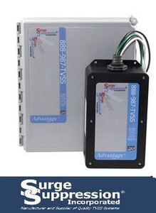 Surge Suppression Solutions for Amusement Park-Image