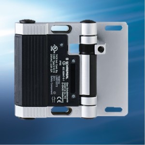 Hinged Interlock Switch -Image