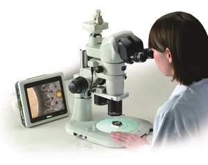 New Stereo Microscopes with enhanced performance-Image