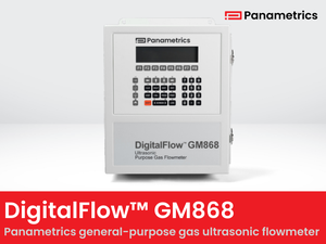 Panametrics DigitalFlow GM868™ flowmeter-Image
