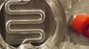 Versatile expanded materials-Image