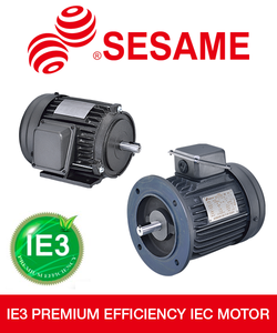 IE3 Premium Efficiency IEC Electric Motors-Image