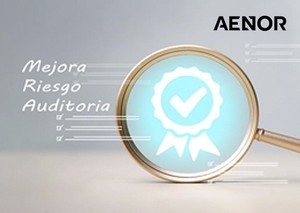 IMS Standard-Quality Management; UNE-EN ISO 9000-Image