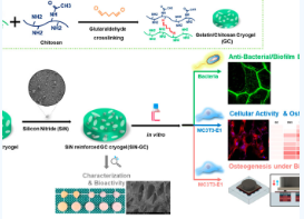 SILICON NITRIDE MEDICAL APPLICATIONS-Image