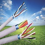 Small Just got Mini: EcoCable® Mini 300V Cable-Image