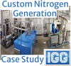 Custom Nitrogen Generation - Case Study-Image