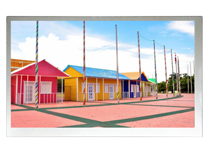8.0” TFT, LVDS all view, 1000 nits brightness-Image