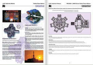 Explosion Protected Radial Piston Motors-Image