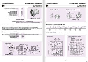 Low speed, high torque (LSHT) hydraulic motors.-Image