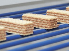 Habiblue Thermoplastic Round Belt-Image