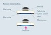 3 Reasons: trust capacitive ceramic pressure-Image