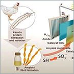 Power from poultry: Feathers for fuel cells.