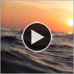 A snail-inspired robot promises to vacuum up microplastics from bodies of water.