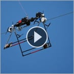 These drones promise to save birds from crashing into power lines.