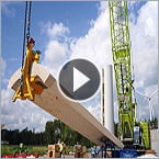 Planting the seeds for nurturing renewable energy sustainability.