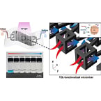 Water treatment via photocatalytic platform: No chemicals needed