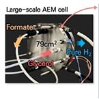 Hydrogen and chemicals derived from biowaste