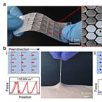New patch promises 70x stronger adhesion, crack prevention