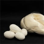 New heat-compressed silk material beats wood in strength, challenges Kevlar, carbon fiber