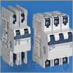 Dual terminal circuit breakers
