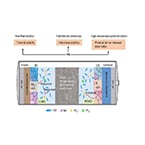 Sodium-ion batteries built to be fireproof