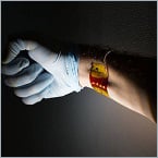 Flexible semiconductors move toward practical use
