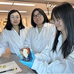 Biodegradable fruit wash removes pesticides, extends freshness