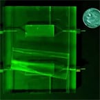 Portable food safety sensor snags Salmonella with virus-coated polymer