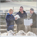 Blueair launches wool-based EcoLast air filter for greener air purification