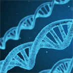 DNA-based nanobots replicate themselves via UV light.