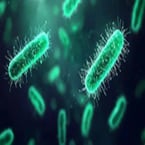 Pinpointing E. coli pollution in real time
