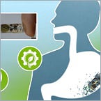 Video: This battery absorbs in the stomach in weeks