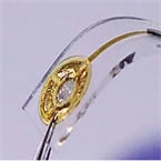 Team develops 'electronic tongue' technology.