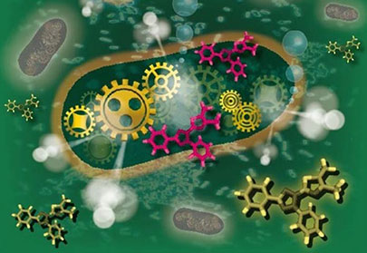 New tech expedites bacterial testing in food.