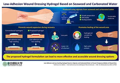 Team develops seaweed-derived hydrogel for wound healing.