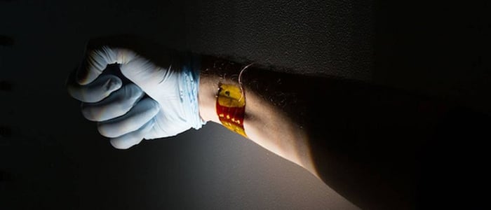 Flexible semiconductors move toward practical use