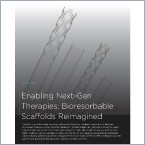 Download the white paper: Bioresorbable Scaffolds Reimagined
