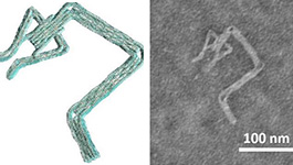 Software speeds design of complex DNA nanodevices.