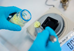 Powerful lithium-sulfur battery designed for mobile applications