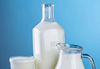 Cornell study finds spoilage microbe in microfiltered milk