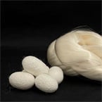 New heat-compressed silk material beats wood in strength, challenges Kevlar, carbon fiber