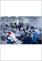 Tier 1 global manufacturing; Tier 3 service