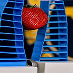 Smart robotic hand harvests ripe fruit using sight, touch