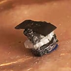 Seed-sized '5-in-1' surgical robot swaps tools in less than a second