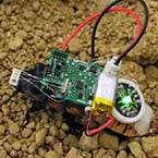Bio-hybrid AI lets scientists control a cyborg cockroach